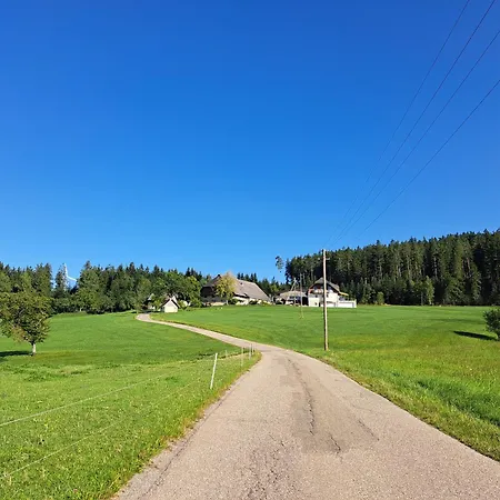 Erlebe Ruhe & - Idyllischer Schwarzwaldbauernhof דירה *