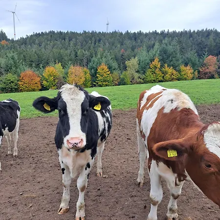 Erlebe Ruhe & - Idyllischer Schwarzwaldbauernhof *