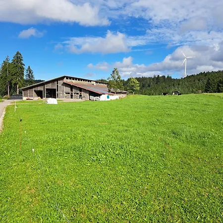 Erlebe Ruhe & - Idyllischer Schwarzwaldbauernhof הורנברג
