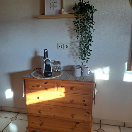 Erlebe Ruhe & - Idyllischer Schwarzwaldbauernhof 아파트 호른베르크